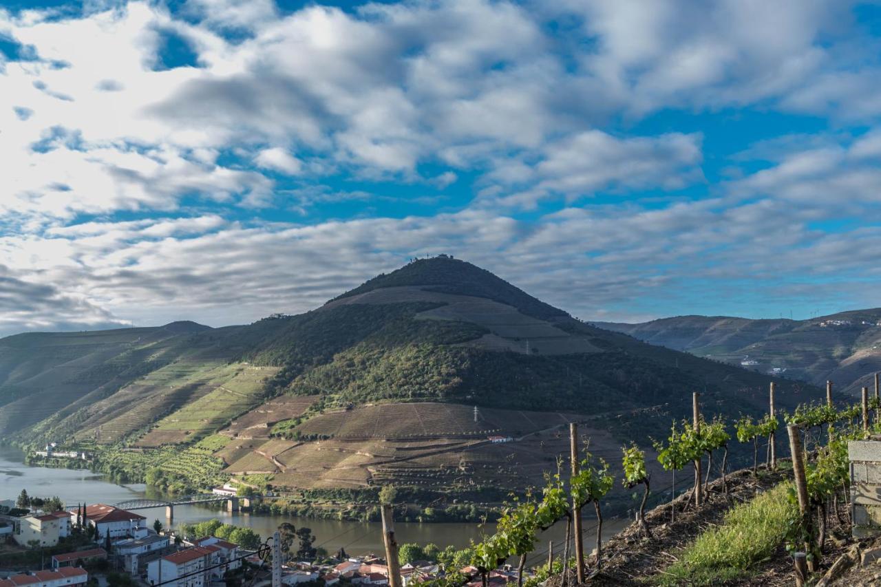Dois Lagares House Bed & Breakfast Pinhão Eksteriør bilde