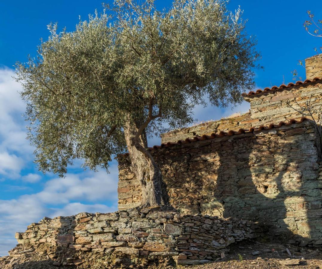 Dois Lagares House Bed & Breakfast Pinhão Eksteriør bilde