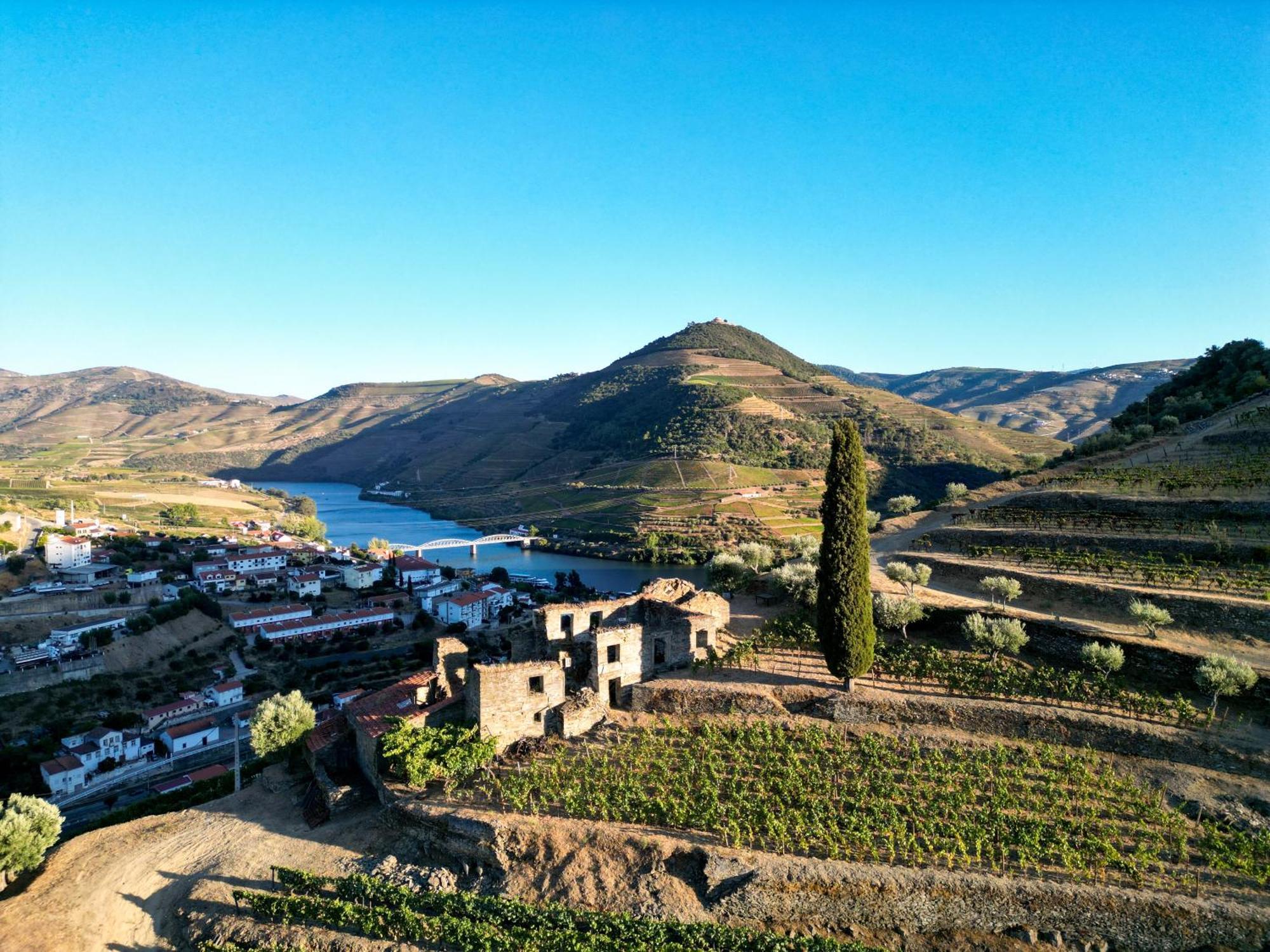 Dois Lagares House Bed & Breakfast Pinhão Eksteriør bilde